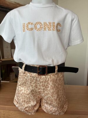 Ensemble iconic