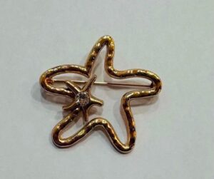 Broche etoile